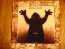 John Lee Hooker - The Healer - 1989 ORIGINAL Chameleon NM- VINYL