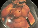 Metallica Picture Disc