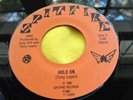 Rare 1982 Power Pop 45 : R Catucci, T D'Angelo, Tony Lopez   Hold On   Spitfire