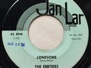 RARE R&B ( DOO-WOP SOUL 45 ) 1959 - THE EBBTIDES - OrigInal Jan Lar - VG+