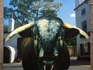SWERVEDRIVER - Mezcal Head (CRELP143, 1993) LP original vinyl, not re-issue