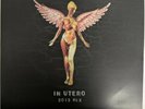 NIRVANA - In Utero [20th Anniversary LP] (US) (2 Vinyl, Nov-2013