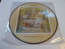 GENESIS - Selling England By The Pound - Very Rare LP Picture Disc 2013 UNPLAYED