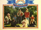 BEACH BOYS - SUNFLOWER -VINYL - EXCELLENT