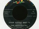 THE MARVELOWS Your Little Sister on ABC Paramount Northern Soul 45 Hear