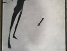 Schallplatte / Vinyl / LP  Scratch  Acid - Same