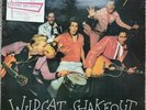 Ray Campi Wildcat Shakeout (Rockabilly LP)