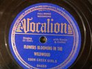 Vocalion 04659 Coon Creek Girls PRETTY POLLY   78rpm Country 1938 E