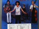 The Modern Lovers ?– Rock 'N' Roll With The Modern Lovers Near Mint Promo