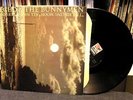 Echo & the Bunnymen 