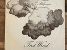 Ricotti & Albuquerque First Wind Pegasus Peg 2 UK 1971 Vinyl