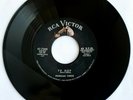 The Morgan Twins - TV Hop   NM -  Rockabilly