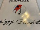 Bauhaus - Ziggy Stardust - Third Uncle 12
