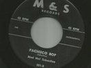 R&B ROCKER LATIN TITTYSHAKER INSTROS- MAD MEL SEBASTION - RAVEN HOP-HEAR on  M&S