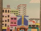Fruit Bats - The Ruminant Band Vinyl LP  Alternative Pop Rock 2009 Sub Pop