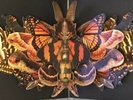 The Courteeners HMV LIMITED EDITION More Again Forever  Pop Up Sleeve Vinyl New