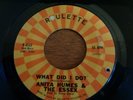 Anita Humes & The Essex, What Did I Do, Roulette # 4542, vg+