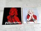 MADONNA REBEL HEART 2 LP PICTURE DISC  VINYL AND PROMO BOOK SO REBEL FRANCE