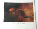 Cocteau Twins - Victorialand - Vinyl LP UK 1st Press EX/EX+ 45 RPM