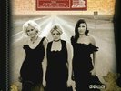 Dixie Chicks - Home vinyl LP NEW/SEALED IN STOCK