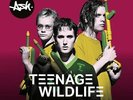 Ash - Teenage Wildlife - 25 Years Of Ash [New Vinyl LP] Explicit