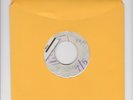 BLANK/ I MADE A MISTAKE - TERMITES/UNDYING LOVE - E WILSON (68 ROCKSTEADY 7