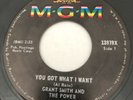 NORTHERN SOUL Grant Smith & The Power YOU GOT WHAT I WANT MGM 45 rare Canadian