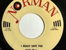 NORTHERN SOUL_Deep Soul 45_DAVID DEE_I Really Love You_NORMAN_Strong VG++ HEAR