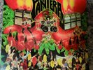 Pantera  “Projects in the Jungle” LP RARE heavy metal magic record vinyl 80s