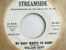 soul funk 45 WILLIAM HUNT Would You Believe  STREAMSIDE listen