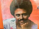 Wilfrido Vargas/Milly y Los Vecinos/Las Chicas del Can/Merengue Record Lot