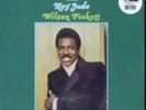 WILSON PICKETT: HEY JUDE (LP vinyl *BRAND NEW*.)
