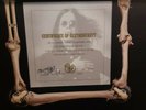 READ OZZY See You On The Other Side Ltd Ed BOX FLEXI AND SIGNED CERT ONLY READ