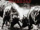 Gotthard - #13 2 x VINYL LP NEW (13TH MAR)