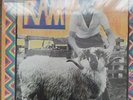 Paul McCartney RAM COLOURED VINYL BRAND new yellow vinyl