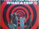 The Stone Roses - What A Trip 12
