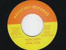soul funk 45 LIVING COLOR - Plastic People (voc/inst) (Rocafort RE) vg++ mp3