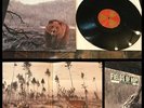 FINAL FIGHT Under Attack LP Vinyl-HC life long tragedy modern life is war gutg