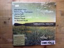 Ceremonial Healing NEW SEALED 3 x RED Vinyl LP Record RSD 2019 Allen Saft Dunn +