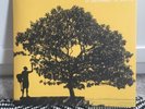 Jack Johnson In Between Dreams Double Gatefold Vinyl 1st Pressing