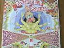 PSYCHEDELIC PSAUNA..2 X LP.+ INSERT...COMP..FREAKBEAT MAG..PSYCHEDELIC ROCK..
