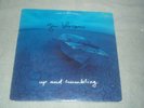 Gin Blossoms - Up & Crumbling Vinyl