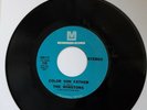 The Winstons - Color Him Father / Amen, Brother METROMEDIA 117 VG++