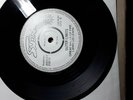 outer limits 7inch steppin stone