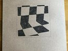 Ducktails The flower lane LP Brooklyn Indie