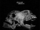 Sect - Blood Of The Beasts LP EARTH CRISIS PATH OF RESISTANCE RACE TRAITOR