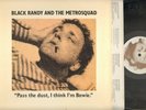 PUNK ROCK LP - BLACK RANDY AND METROSQUAD 