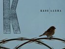 KAOS - KARMA - 2 LP VINILE  NUOVO SIGILLATO LIMITED EDITION