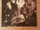 Fields of the Nephilim - Elizium  UK Vinyl LP Album BEGA115 First Pressing