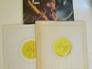 Double Album Jimi Hendrix James Marshall Ladyland in Flames LP